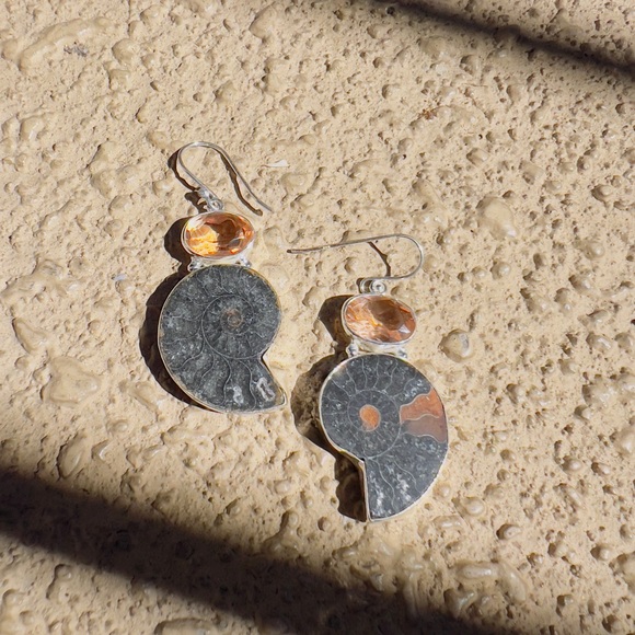 Ammonite Fossil Shell and Morganite Gemstone 925 Sterling Silver Earrings - Picture 9 of 9